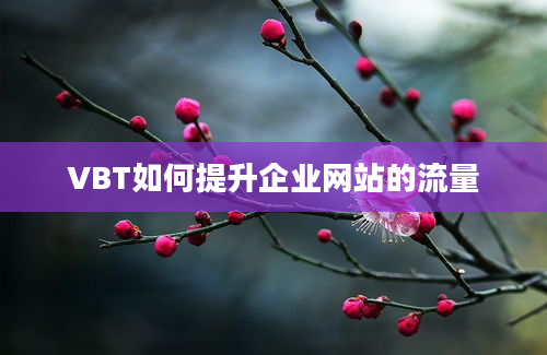 VBT如何提升企业网站的流量