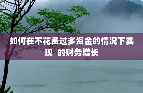 如何在不花费过多资金的情况下实现  的财务增长