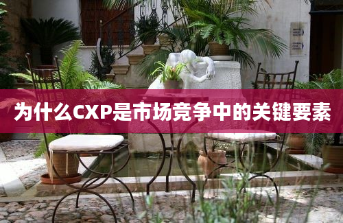 为什么CXP是市场竞争中的关键要素