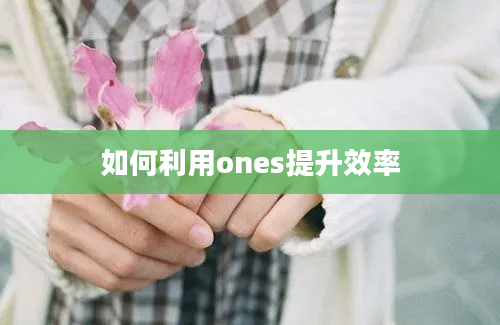 如何利用ones提升效率