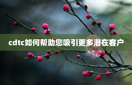 cdtc如何帮助您吸引更多潜在客户