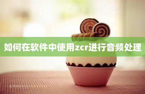 如何在软件中使用zcr进行音频处理