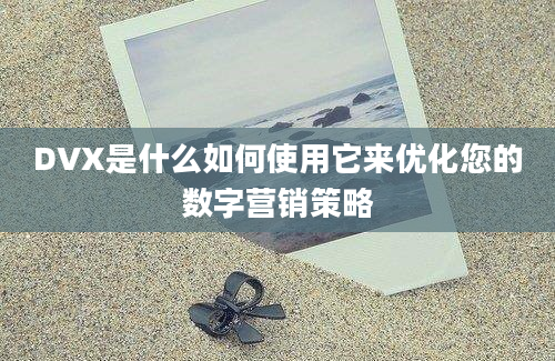 DVX是什么如何使用它来优化您的数字营销策略