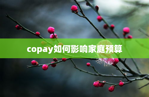 copay如何影响家庭预算