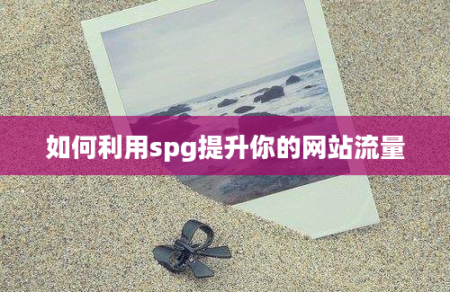 如何利用spg提升你的网站流量