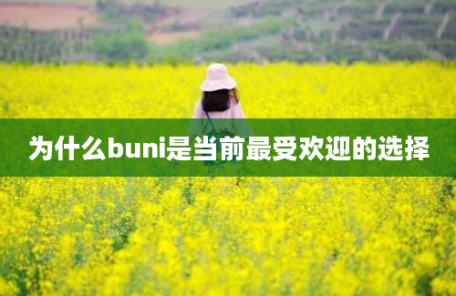 为什么buni是当前最受欢迎的选择