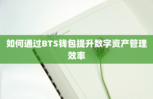 如何通过BTS钱包提升数字资产管理效率