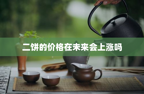 二饼的价格在未来会上涨吗