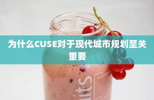 为什么CUSE对于现代城市规划至关重要