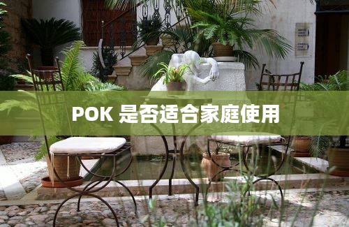 POK 是否适合家庭使用