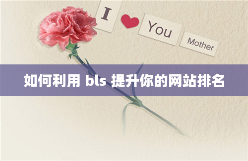 如何利用 bls 提升你的网站排名