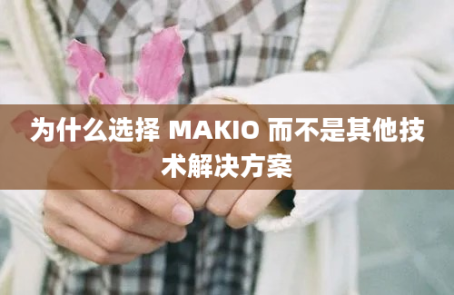 为什么选择 MAKIO 而不是其他技术解决方案