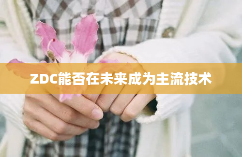 ZDC能否在未来成为主流技术