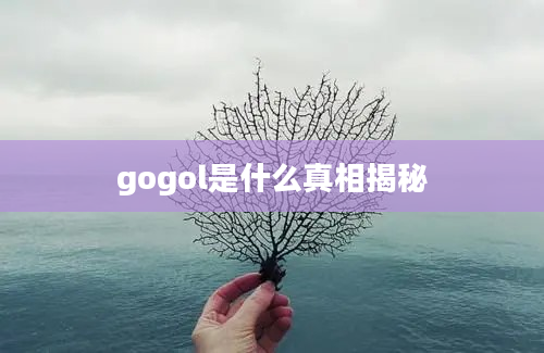 gogol是什么真相揭秘