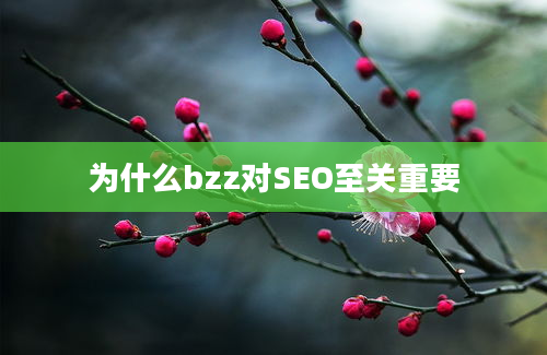 为什么bzz对SEO至关重要