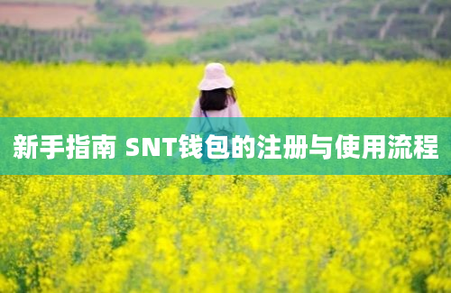 新手指南 SNT钱包的注册与使用流程