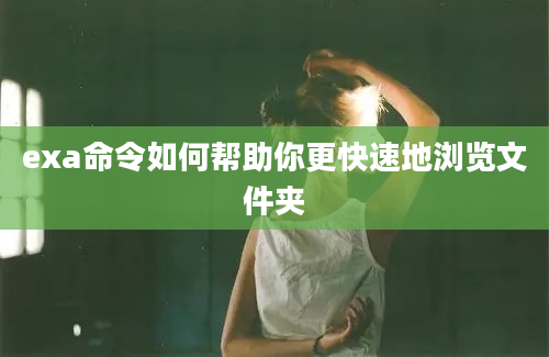 exa命令如何帮助你更快速地浏览文件夹