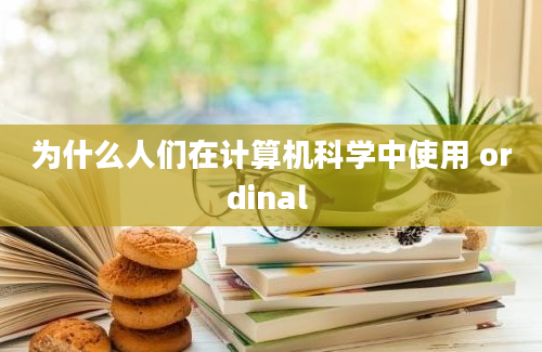 为什么人们在计算机科学中使用 ordinal