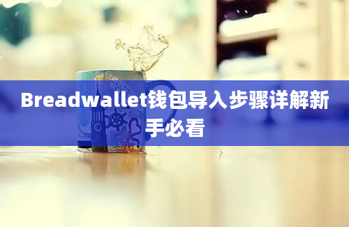 Breadwallet钱包导入步骤详解新手必看