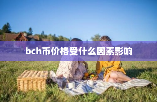 bch币价格受什么因素影响