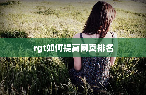 rgt如何提高网页排名