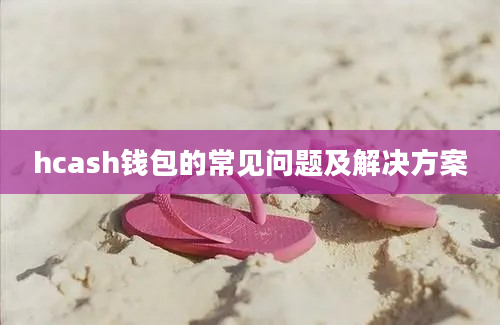 hcash钱包的常见问题及解决方案