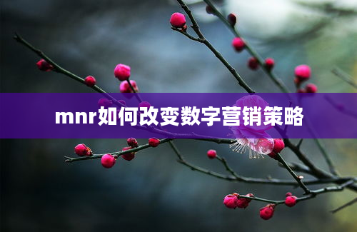 mnr如何改变数字营销策略