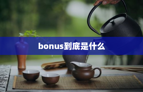 bonus到底是什么