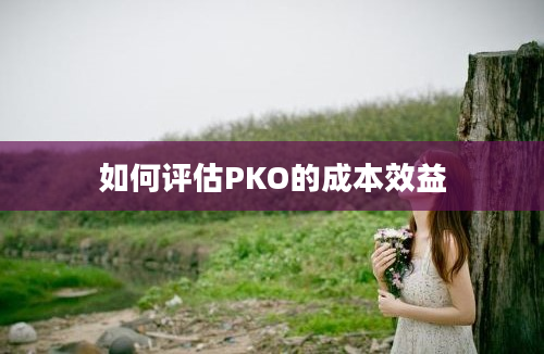 如何评估PKO的成本效益