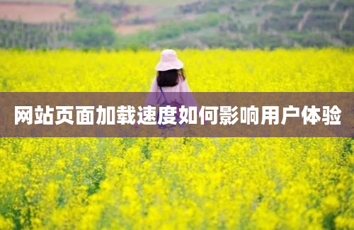 网站页面加载速度如何影响用户体验