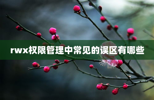 rwx权限管理中常见的误区有哪些