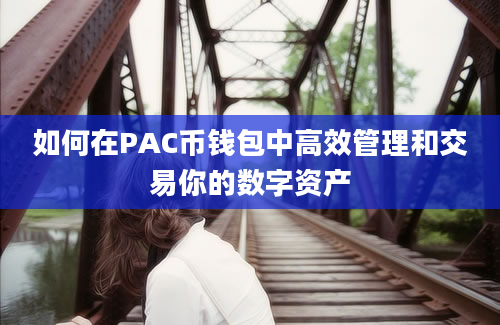 如何在PAC币钱包中高效管理和交易你的数字资产