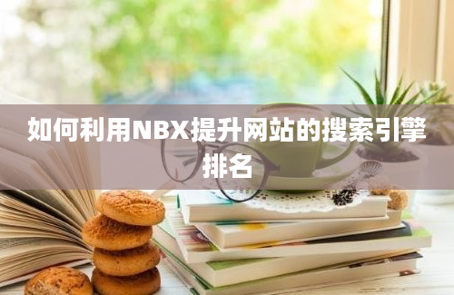 如何利用NBX提升网站的搜索引擎排名