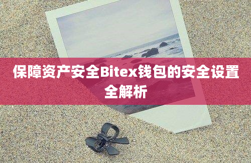 保障资产安全Bitex钱包的安全设置全解析