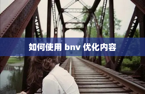 如何使用 bnv 优化内容