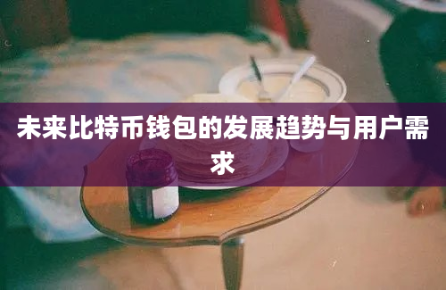 未来比特币钱包的发展趋势与用户需求