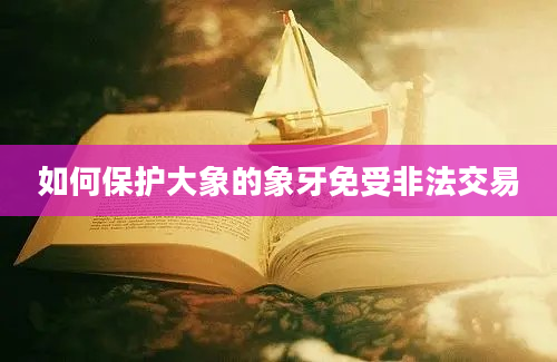 如何保护大象的象牙免受非法交易