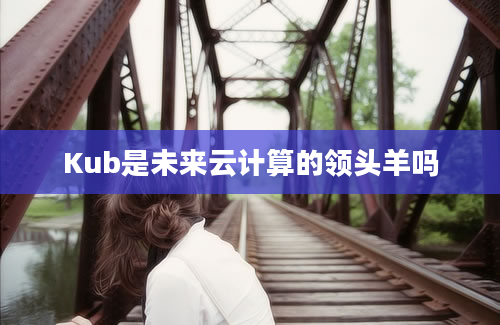 Kub是未来云计算的领头羊吗