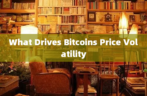 What Drives Bitcoins Price Volatility