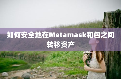 如何安全地在Metamask和包之间转移资产