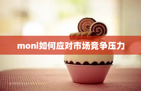 moni如何应对市场竞争压力