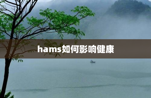 hams如何影响健康