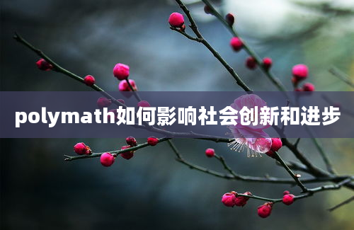 polymath如何影响社会创新和进步