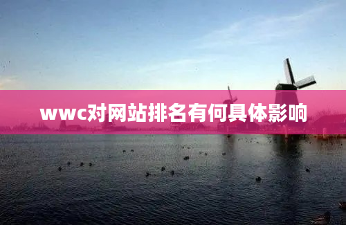 wwc对网站排名有何具体影响