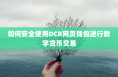 如何安全使用DCR网页钱包进行数字货币交易