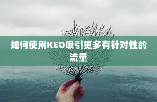 如何使用KEO吸引更多有针对性的流量