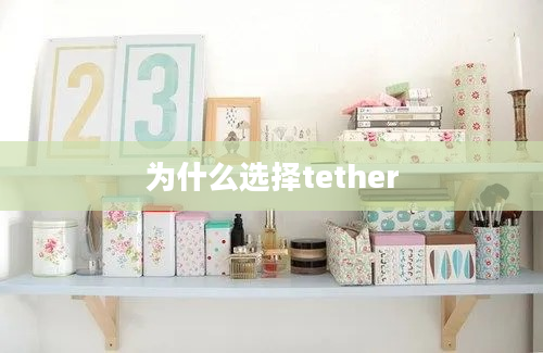 为什么选择tether