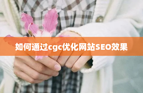 如何通过cgc优化网站SEO效果