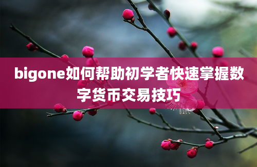 bigone如何帮助初学者快速掌握数字货币交易技巧