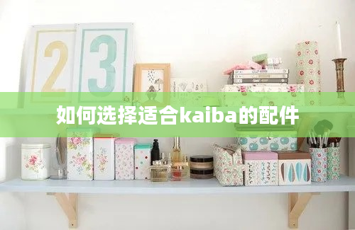 如何选择适合kaiba的配件